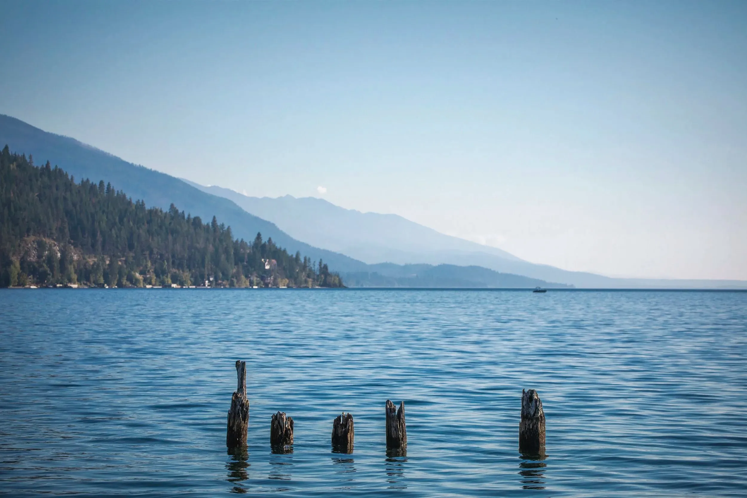 Flathead Lake and The Sitting Duck's outdoor deck photo 4