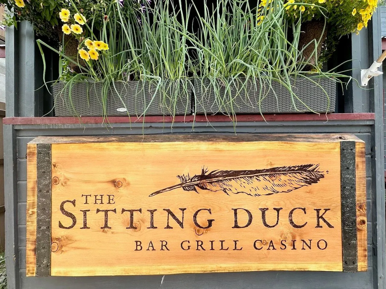 The Sitting Duck sign among planted flowers