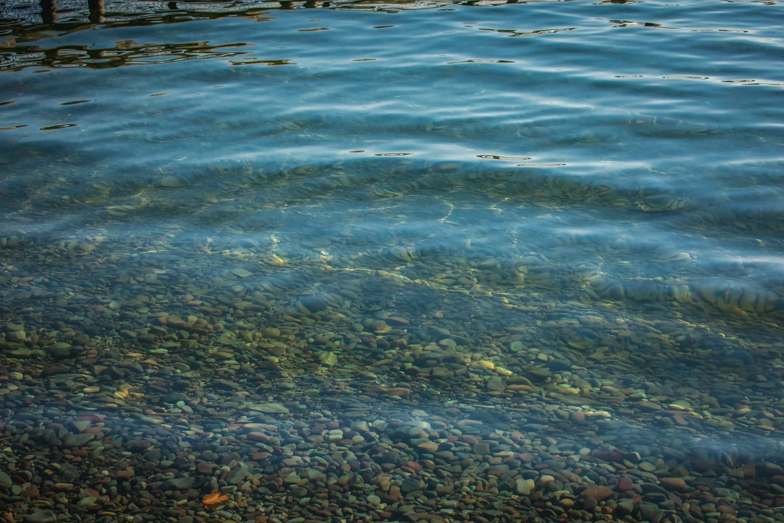 Flathead Lake and The Sitting Duck's outdoor deck photo 14